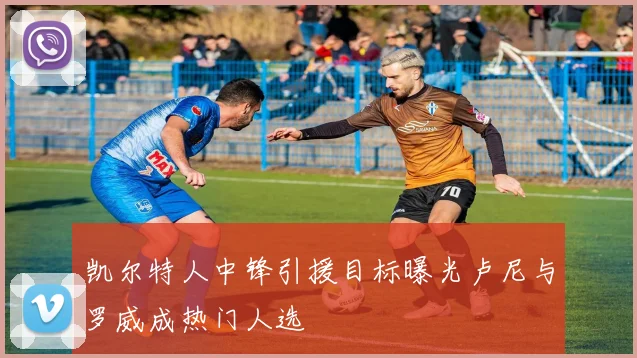 凯尔特人中锋引援目标曝光卢尼与罗威成热门人选